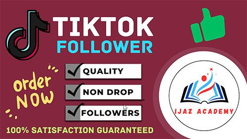 TikTok Follower Buy 100% Guarantee